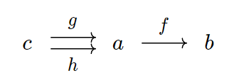 monomorphism